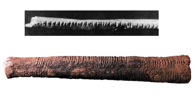 Image of the Lebombo bone (top) and  Ishango bone (below)